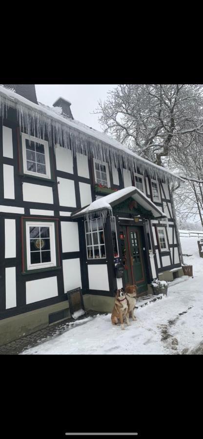 Penzion Berghof Schmitte Winterberg Exteriér fotografie