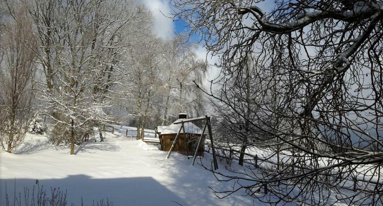 Penzion Berghof Schmitte Winterberg Exteriér fotografie