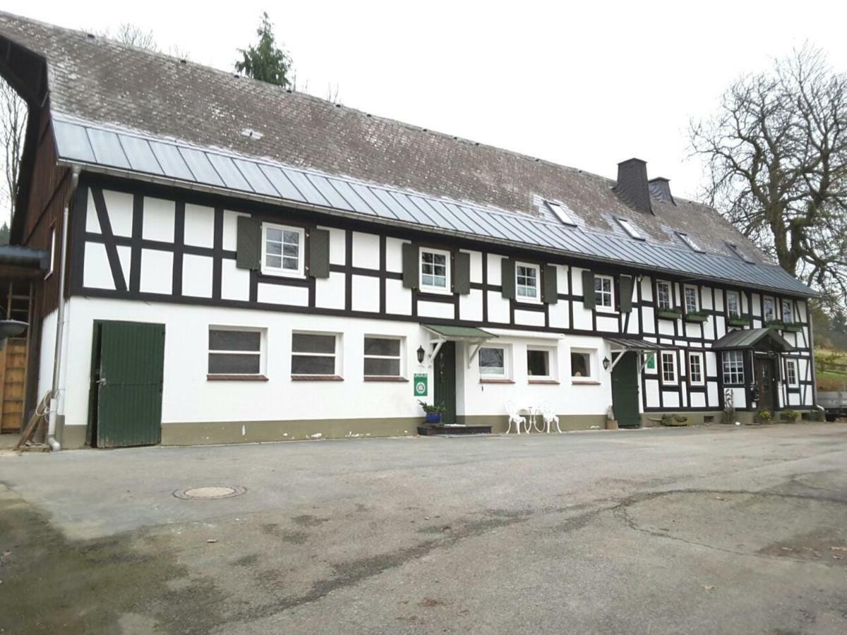 Penzion Berghof Schmitte Winterberg Exteriér fotografie