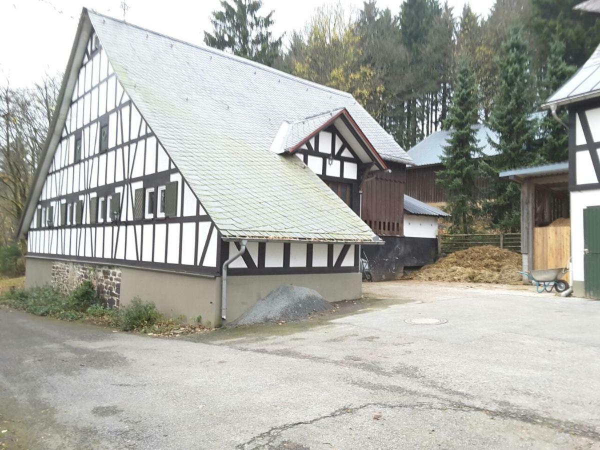 Penzion Berghof Schmitte Winterberg Exteriér fotografie