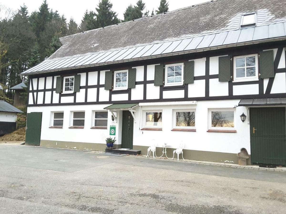Penzion Berghof Schmitte Winterberg Exteriér fotografie